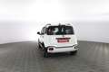 Fiat Panda Panda 1.0 FireFly S&S Hybrid Bianco - thumbnail 5
