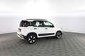 Fiat Panda Panda 1.0 FireFly S&S Hybrid Bianco - thumbnail 3