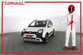 Fiat Panda Panda 1.0 FireFly S&S Hybrid Bianco - thumbnail 1