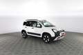 Fiat Panda Panda 1.0 FireFly S&S Hybrid Bianco - thumbnail 2