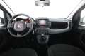 Fiat Panda Panda 1.0 FireFly S&S Hybrid Bianco - thumbnail 10