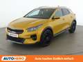 Kia XCeed 1.6 CRDi Platin Gelb - thumbnail 1