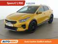 Kia XCeed 1.6 CRDi Platin Gelb - thumbnail 1