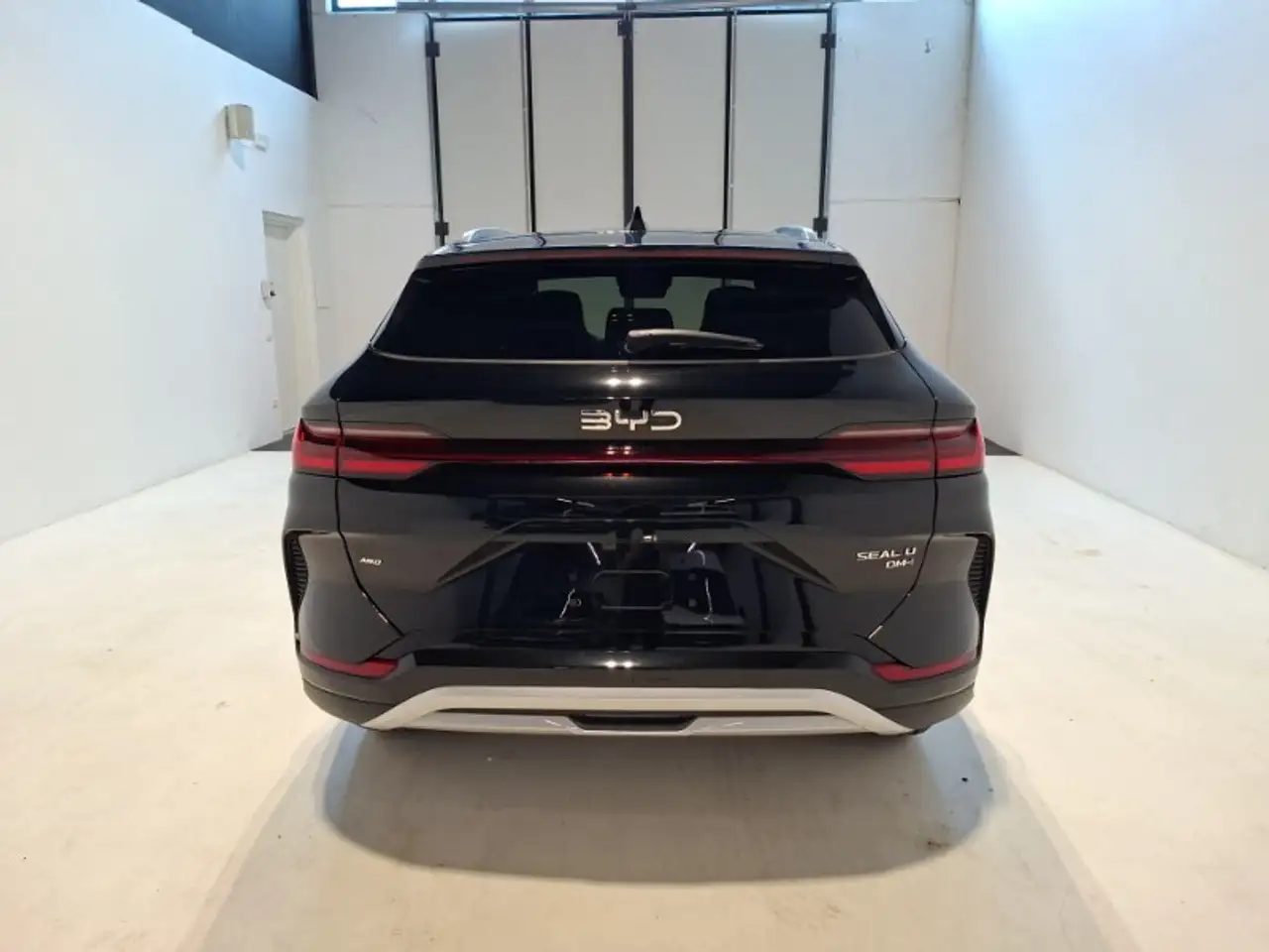 BYD Others 2026