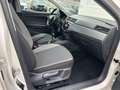 SEAT Ibiza 1.0 TSI Style Navi Kamera Tempomat Weiß - thumbnail 12