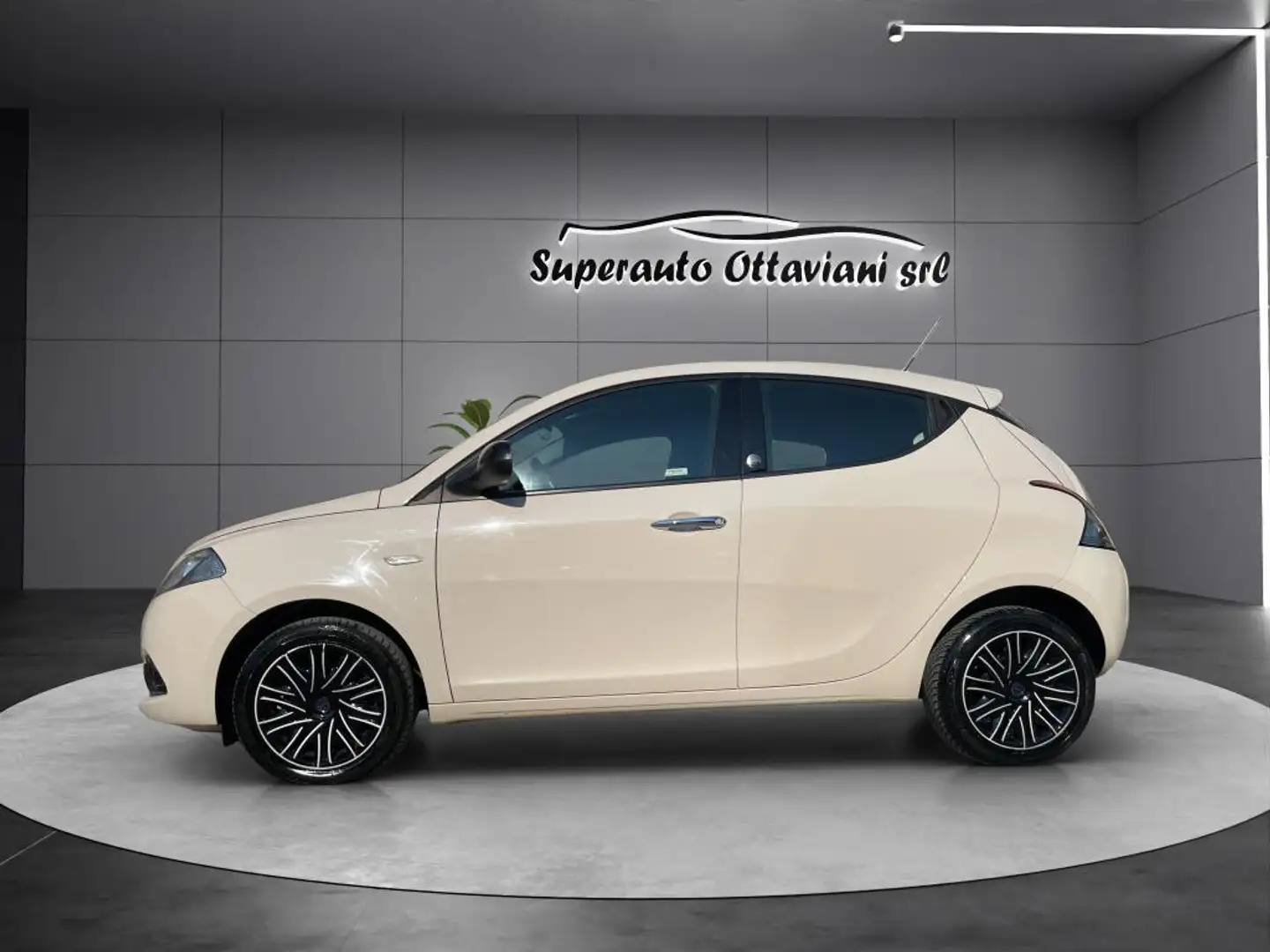 Lancia Ypsilon Ypsilon 1.2 Gold ecochic Gpl 69cv my18 - 2