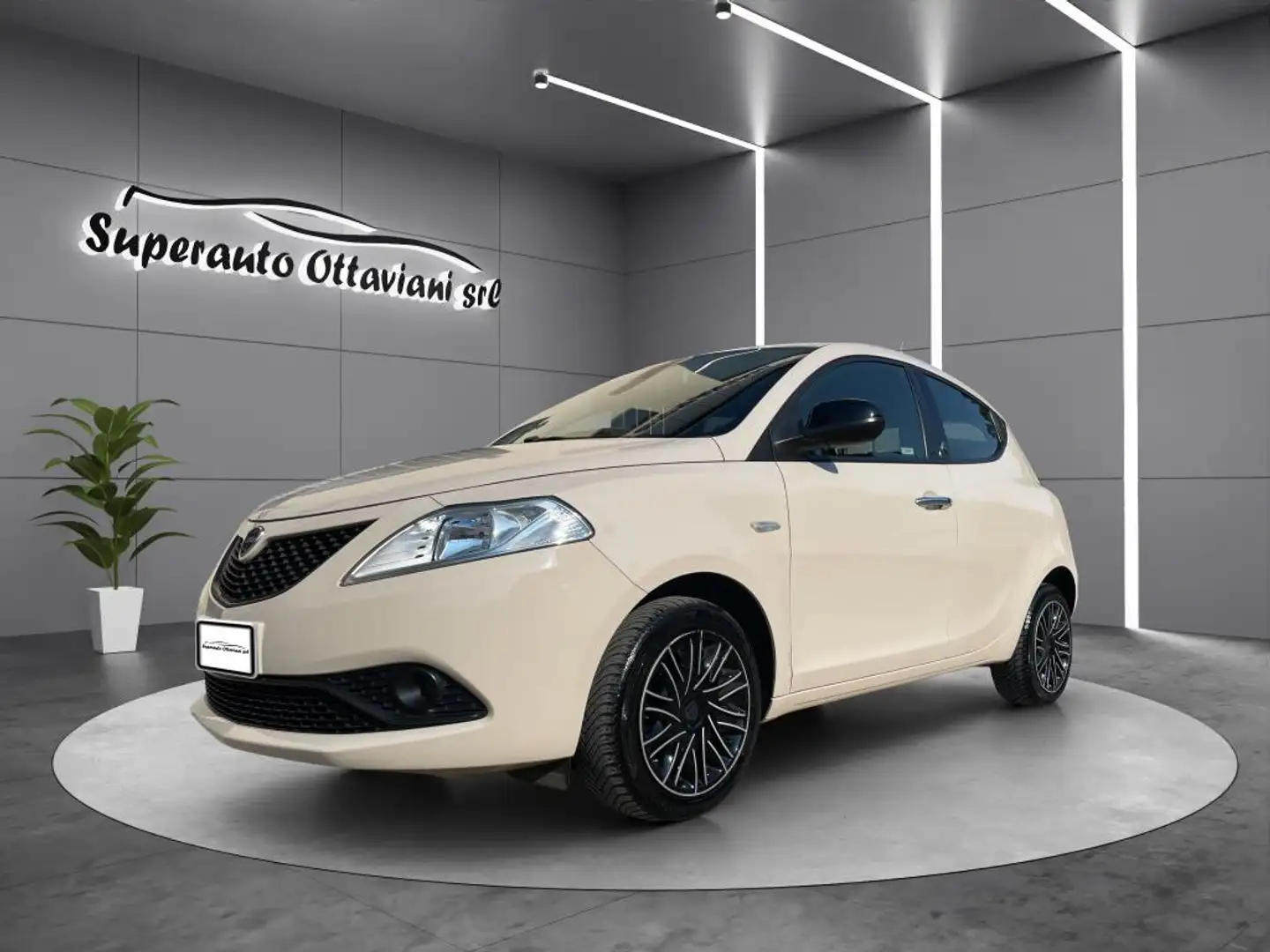 Lancia Ypsilon Ypsilon 1.2 Gold ecochic Gpl 69cv my18 - 1