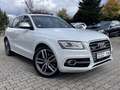 Audi SQ5 3.0 TDI competition quattro Blanc - thumbnail 20