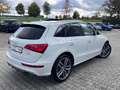 Audi SQ5 3.0 TDI competition quattro Blanc - thumbnail 14