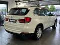 BMW X5 xDrive 25 d Leder*Sitzheizung*DAB Wit - thumbnail 4