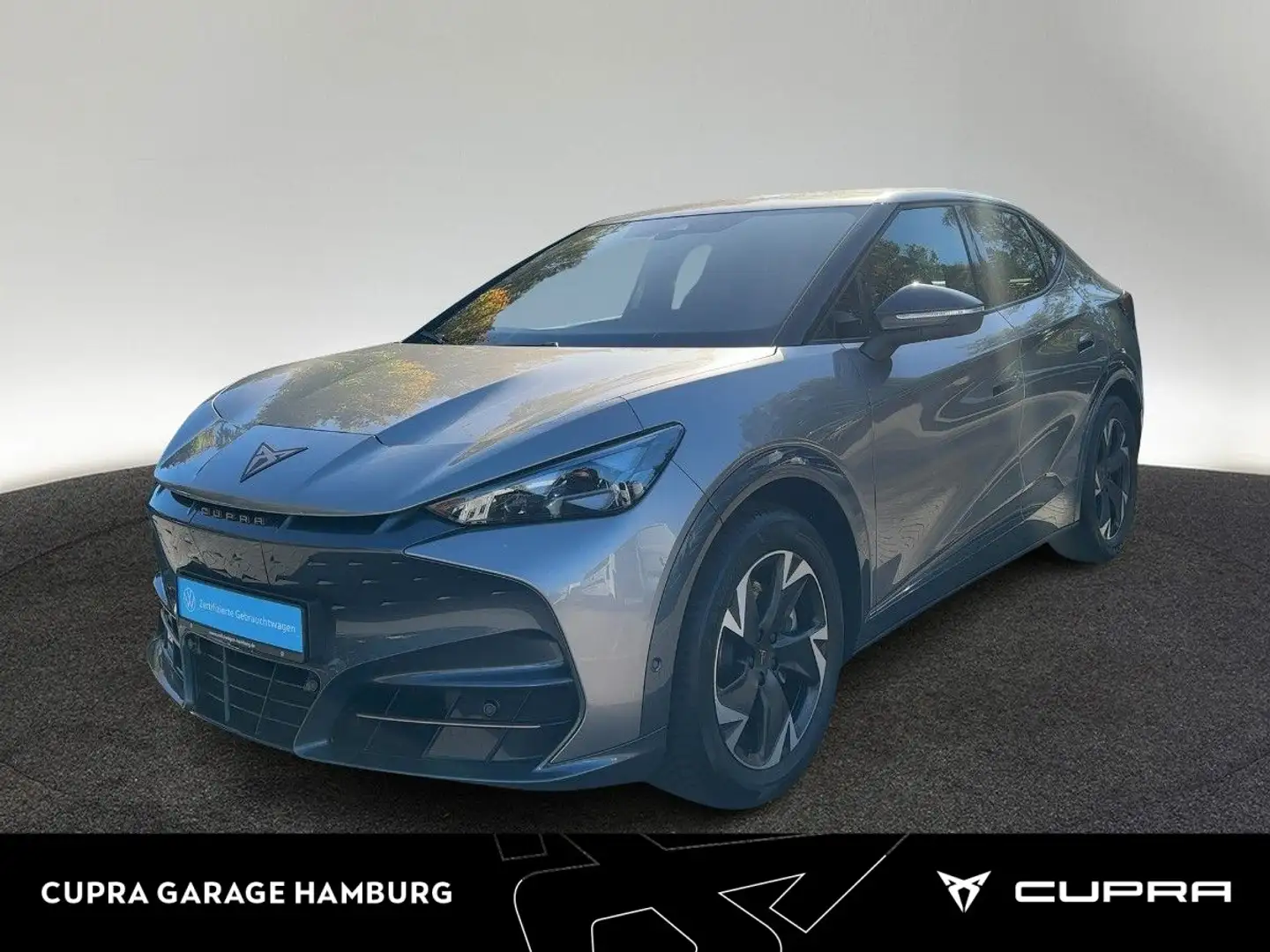 CUPRA Tavascan Endurance Navi ACC Keyless Kamera LED Beige - 1