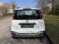 Fiat Panda 0.9 t.air turbo Cross 4x4 90cv - thumbnail 8