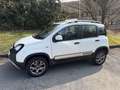 Fiat Panda 0.9 t.air turbo Cross 4x4 90cv - thumbnail 6