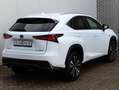 Lexus NX 300h AWD F Sport Line | Adaptive Cruise | El. Achterkle Weiß - thumbnail 37