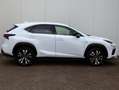 Lexus NX 300h AWD F Sport Line | Adaptive Cruise | El. Achterkle Weiß - thumbnail 6