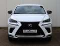 Lexus NX 300h AWD F Sport Line | Adaptive Cruise | El. Achterkle Weiß - thumbnail 2
