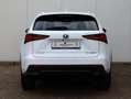 Lexus NX 300h AWD F Sport Line | Adaptive Cruise | El. Achterkle Weiß - thumbnail 4