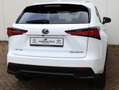 Lexus NX 300h AWD F Sport Line | Adaptive Cruise | El. Achterkle Weiß - thumbnail 31