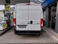 Peugeot boxer Bianco - thumbnail 6