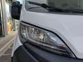 Peugeot boxer Bianco - thumbnail 2