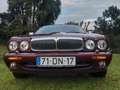 Daimler Super V8 Rood - thumbnail 12