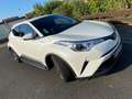 Toyota C-HR Hybrid Team Deutschland D(X10) Weiß - thumbnail 3