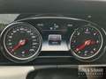 Mercedes-Benz E 220 E 220 d T-Modell Avantgarde/AHK/Distr/Spur/Rüka Gris - thumbnail 7