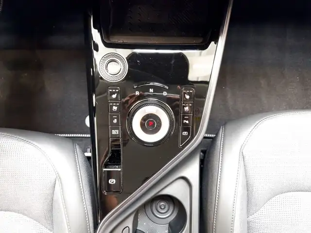 Kia Niro view 13