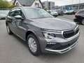 Skoda Kamiq Matrix-LED,DSG,Sitzheizh,Apple,Spurhalte Gris - thumbnail 3