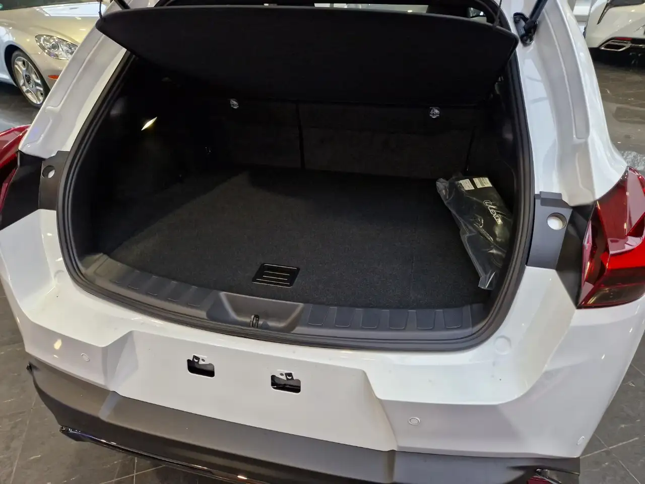 Lexus UX 300h F Sport Design ACC FLA SpurH LM 6
