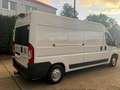Fiat Ducato 130 L4H2 RS: 4035 mm Weiß - thumbnail 4