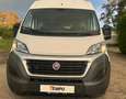 Fiat Ducato 130 L4H2 RS: 4035 mm Weiß - thumbnail 2