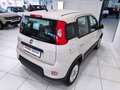 Fiat Panda Panda 1.3 MJT S&S Trekking*DIESEL* Beige - thumbnail 3
