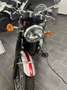 Triumph Bonneville T120 Elvis Numerata 621/925 - thumbnail 9