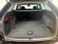 Skoda Octavia Combi 2,0 TDI Ambition DSG AHK_Kamera Schwarz - thumbnail 13