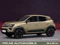 Dacia Spring Extreme Electric 65 Klima Navi Rückfahrkamera PDC Beige - thumbnail 12