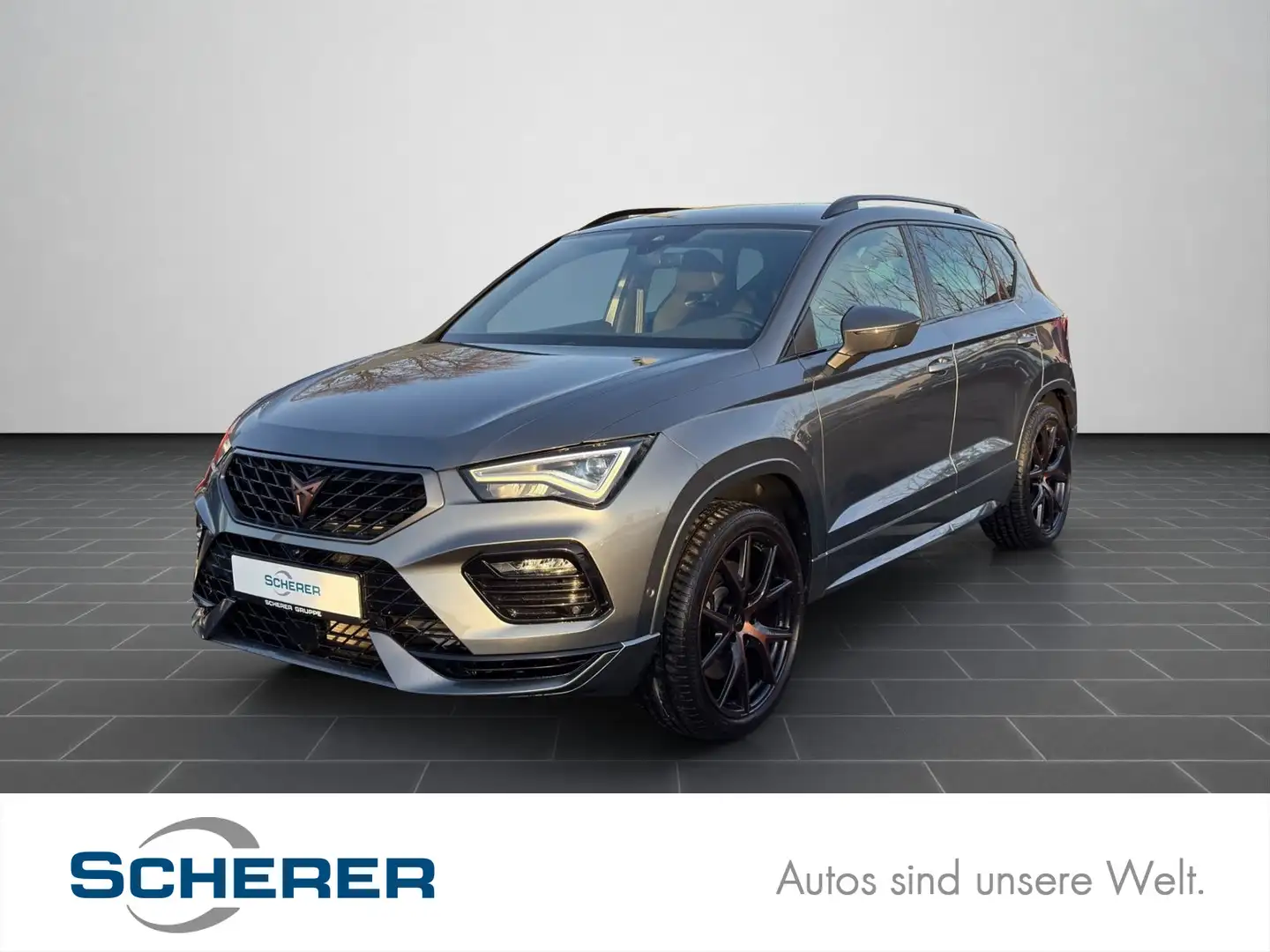 CUPRA Ateca 2.0 TSI DSG 4Drive NAVI ACC 360° BEATS Grau - 1