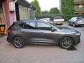 Ford Kuga 2.5 Full Hybrid 190 CV CVT 2WD ST-Line Gris - thumbnail 7
