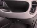 Fiat Panda 1.0 firefly hybrid City Life s&s 70cv 5p.ti Gris - thumbnail 40