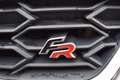 SEAT Ibiza 116 PK TSI FR Business Intense 5 DRS/ADAP CRUISE/X Blanc - thumbnail 11