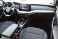 Skoda Octavia Style 2.0TDI DSG | Rückfahrkamera | Spurhalteassistent (Lane Assist) | Virtual Cockpit | Grau - thumbnail 10