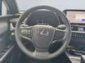Lexus UX 300h F SPORT Design *Navi*LED*CarPlay*CAM*TWA* Grey - thumbnail 12