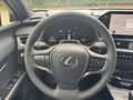 Lexus UX 300h F SPORT Design *Navi*LED*CarPlay*CAM*TWA* Grey - thumbnail 13