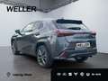 Lexus UX 300h F SPORT Design *Navi*LED*CarPlay*CAM*TWA* Grey - thumbnail 7