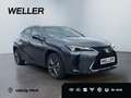 Lexus UX 300h F SPORT Design *Navi*LED*CarPlay*CAM*TWA* Grey - thumbnail 4