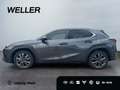 Lexus UX 300h F SPORT Design *Navi*LED*CarPlay*CAM*TWA* Grey - thumbnail 5
