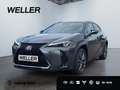Lexus UX 300h F SPORT Design *Navi*LED*CarPlay*CAM*TWA* Grey - thumbnail 1