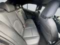 Lexus UX 300h F SPORT Design *Navi*LED*CarPlay*CAM*TWA* Grey - thumbnail 19