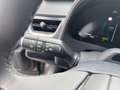 Lexus UX 300h F SPORT Design *Navi*LED*CarPlay*CAM*TWA* Grey - thumbnail 23