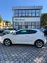 Alfa Romeo MiTo MiTo 1.4 78 CV 8V S&S Urban Blanc - thumbnail 8